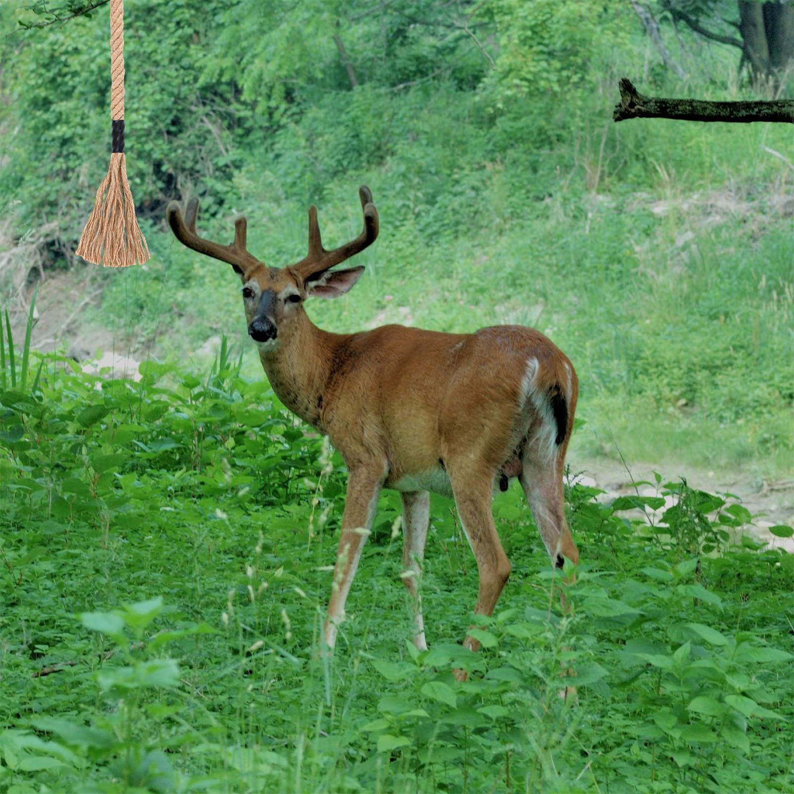 Deer Attractant Scent - كشط غزال فعال يدوم طويلاً جاذب