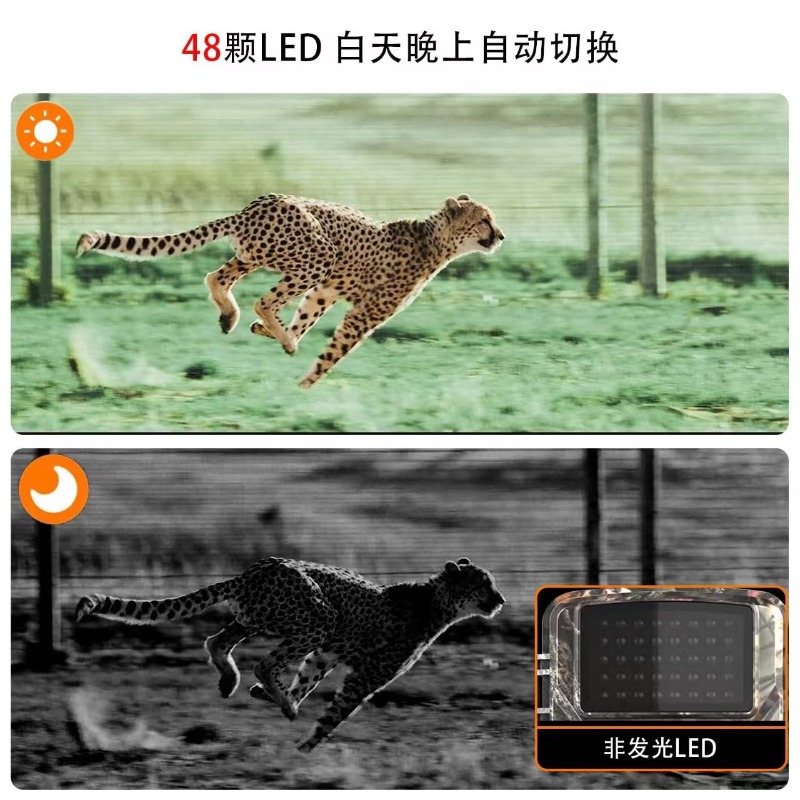 عرض خاص DL001 كاميرا صيد لتتبع - مراجعة Outdoor Hunting Images وسعره