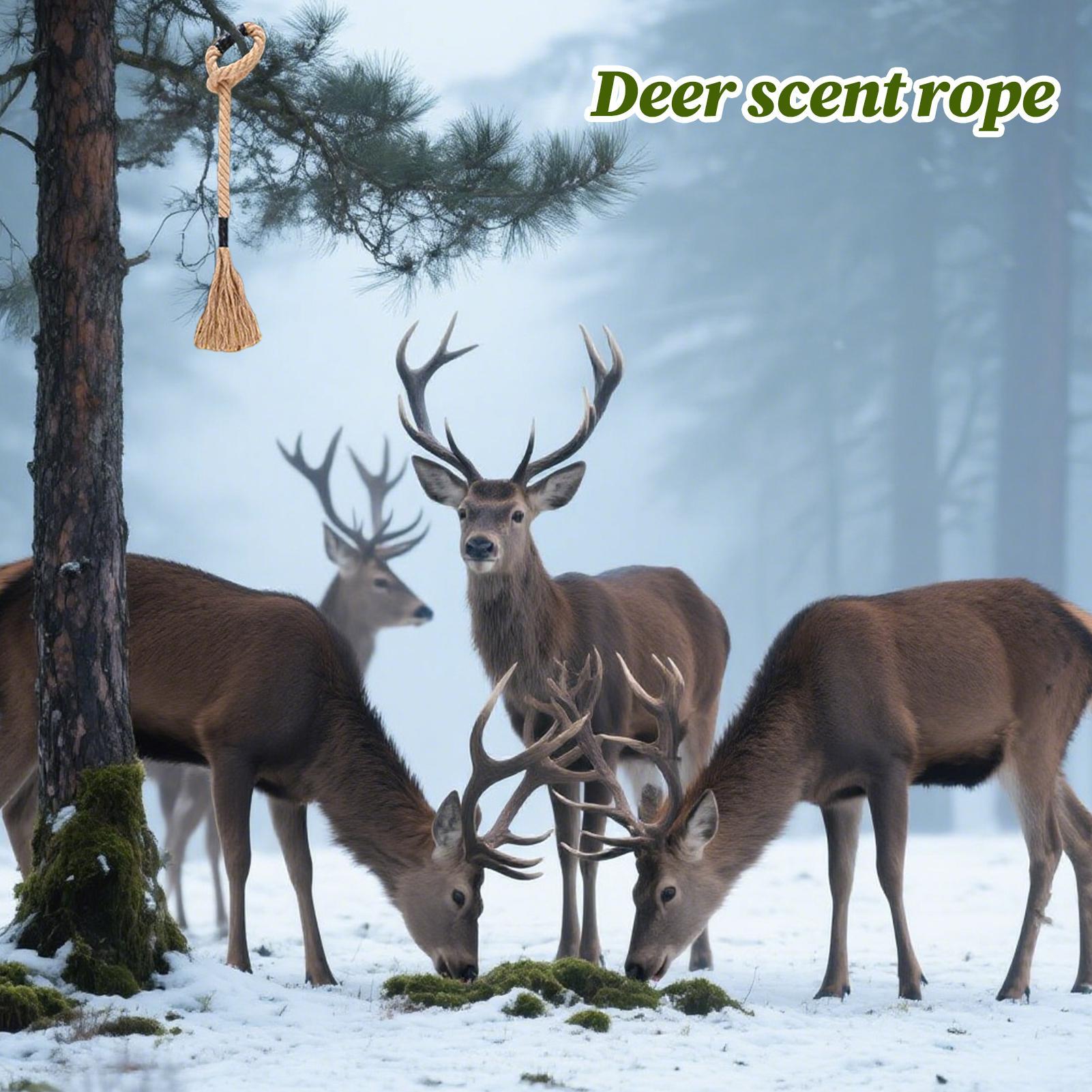 حبل رائحة الغزلان فعال طويل ال - مراجعة Deer Attractant Scent وسعره