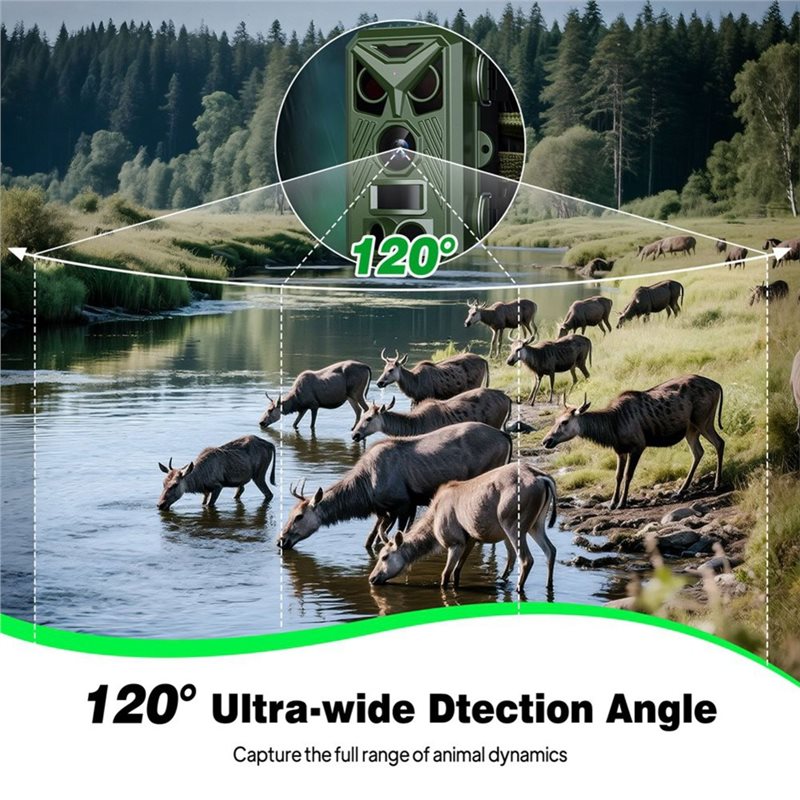 كاميرا BTLIFE لمراقبة الحياة ا - مراجعة Trail Camera Infrared وسعره