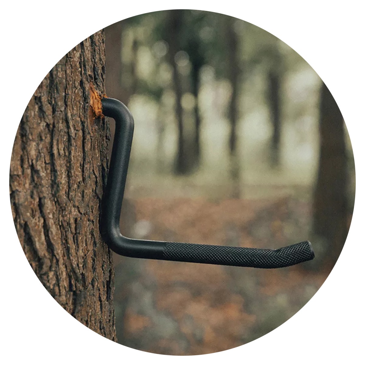 درجات تسلق الأشجار CS09 مقاس 4 - مراجعة Tree Stand Ladder وسعره