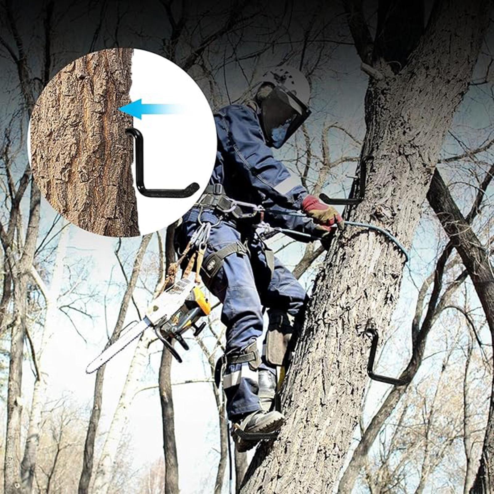 درجات تسلق الأشجار بطول 8.15 ب - مراجعة Tree Stand Ladder وسعره