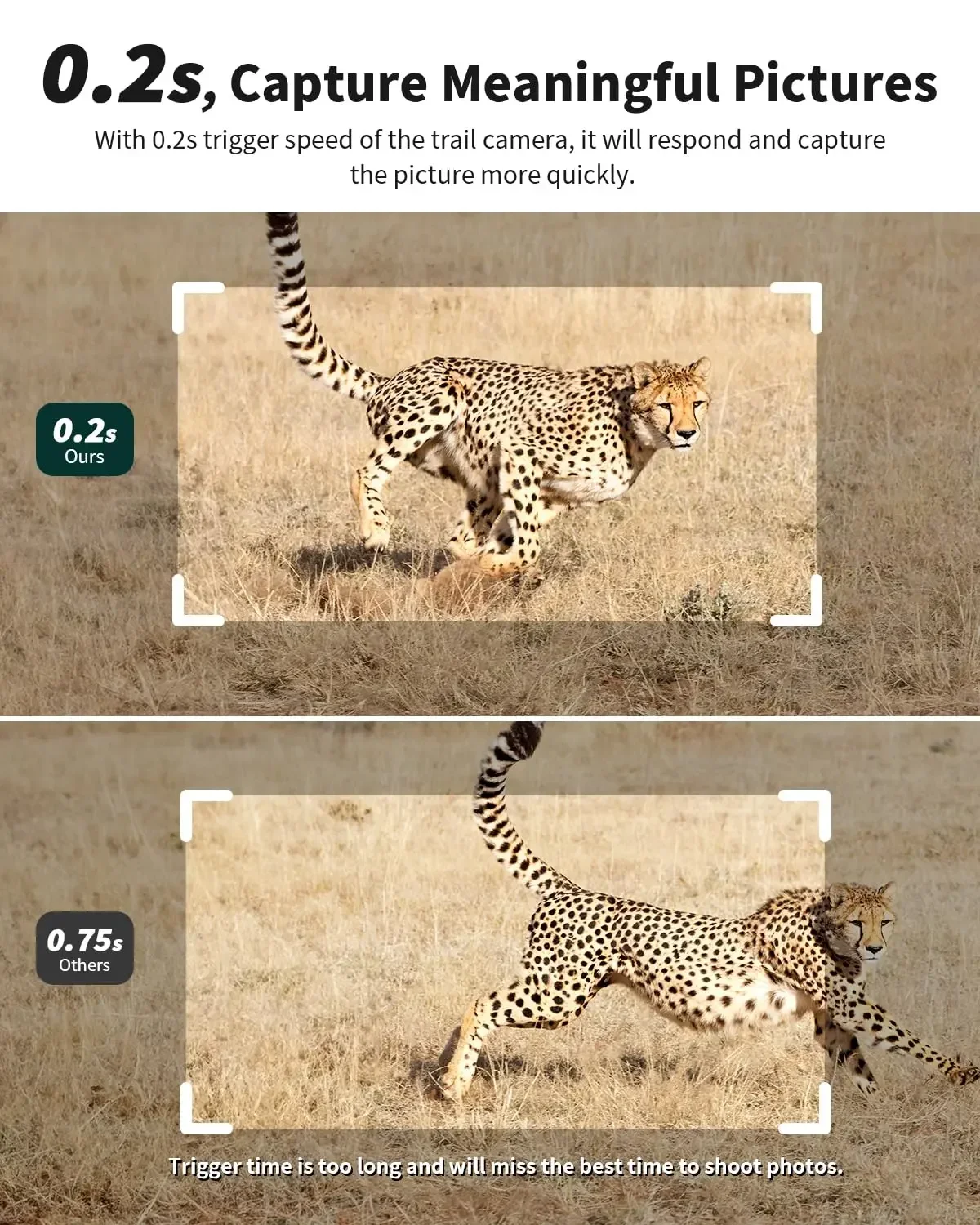 كاميرا تتبع خلوية من الجيل الث - مراجعة Trail Camera Infrared وسعره